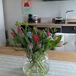 Sorgenfrei Апартаменты