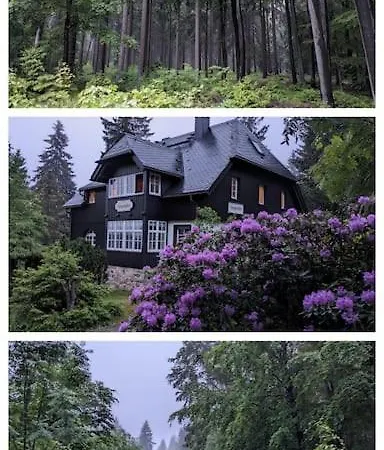 Sorgenfrei Διαμέρισμα