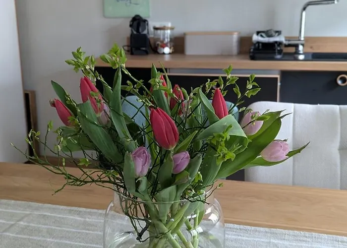 Sorgenfrei Apartamento